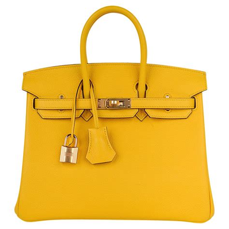 hermes handbag birkin 25 poussin|how to carry birkin bags.